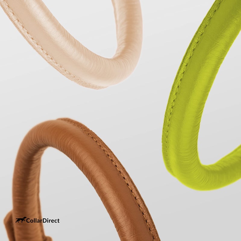 CollarDirect Rolled Leather Dog Collar, Soft Padded Round Puppy Collar, Handmade Genuine Leather Collar Dog Small Large Cat Collars 13 Colors (18-22 Inch, Lime Green Textured) - Image 5
